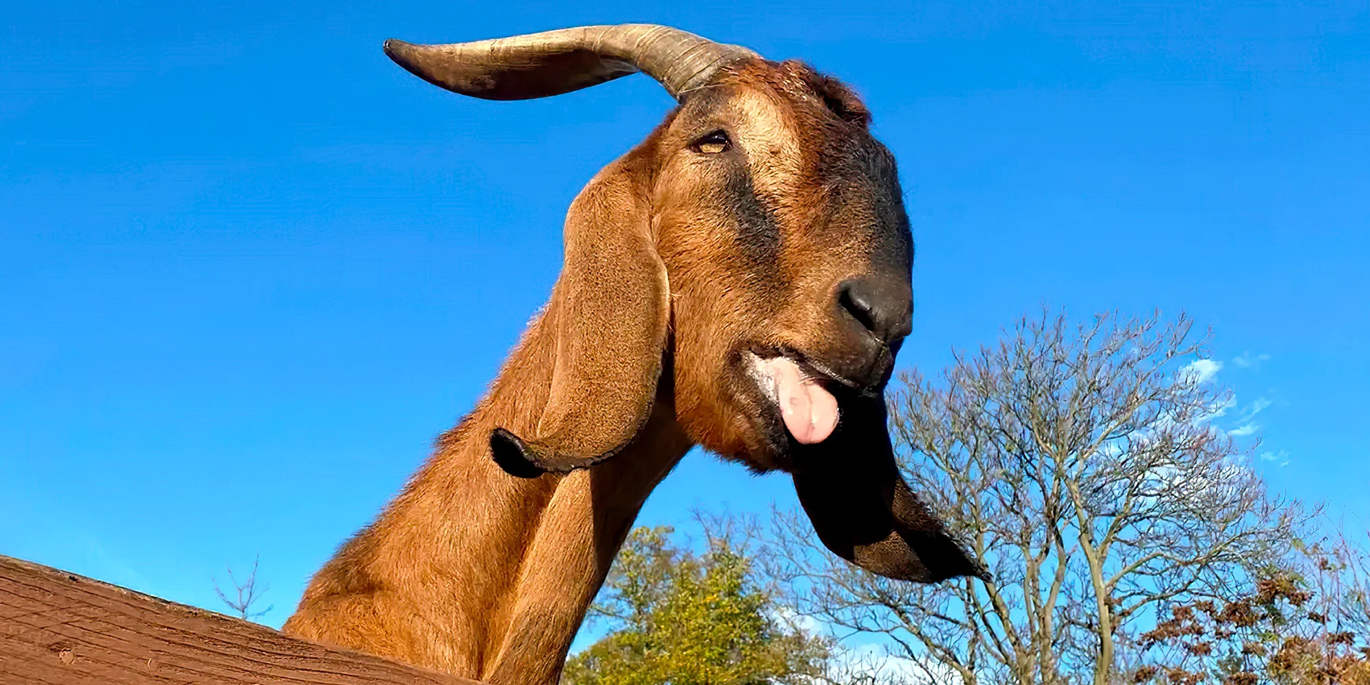 Prohlídka Pohádkové zahrady pro děti i dospělé - Obrázek 4