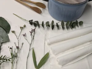 Přírodní barvení textilu: kurz ecoprintu pro 1–2 os.