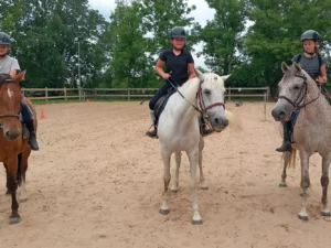 Vyjížďka na poníkovi či koni i výuková lekce