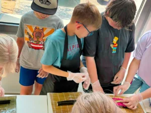 Kurz přípravy sushi pro dospělé i děti: od čištění ryby po rolování