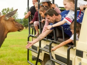 60minutová jízda v Offroad Safari: pro 1 i 2 osoby