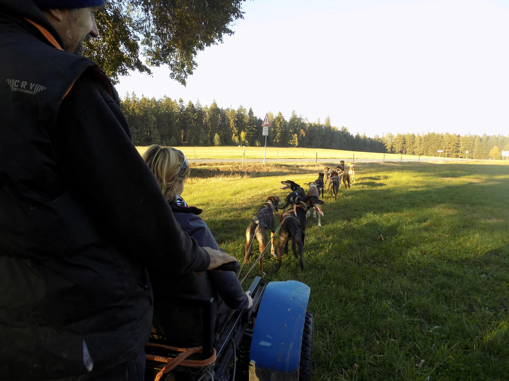 Až 4hod. zážitek na Vysočině se psím spřežením - Obrázek 7