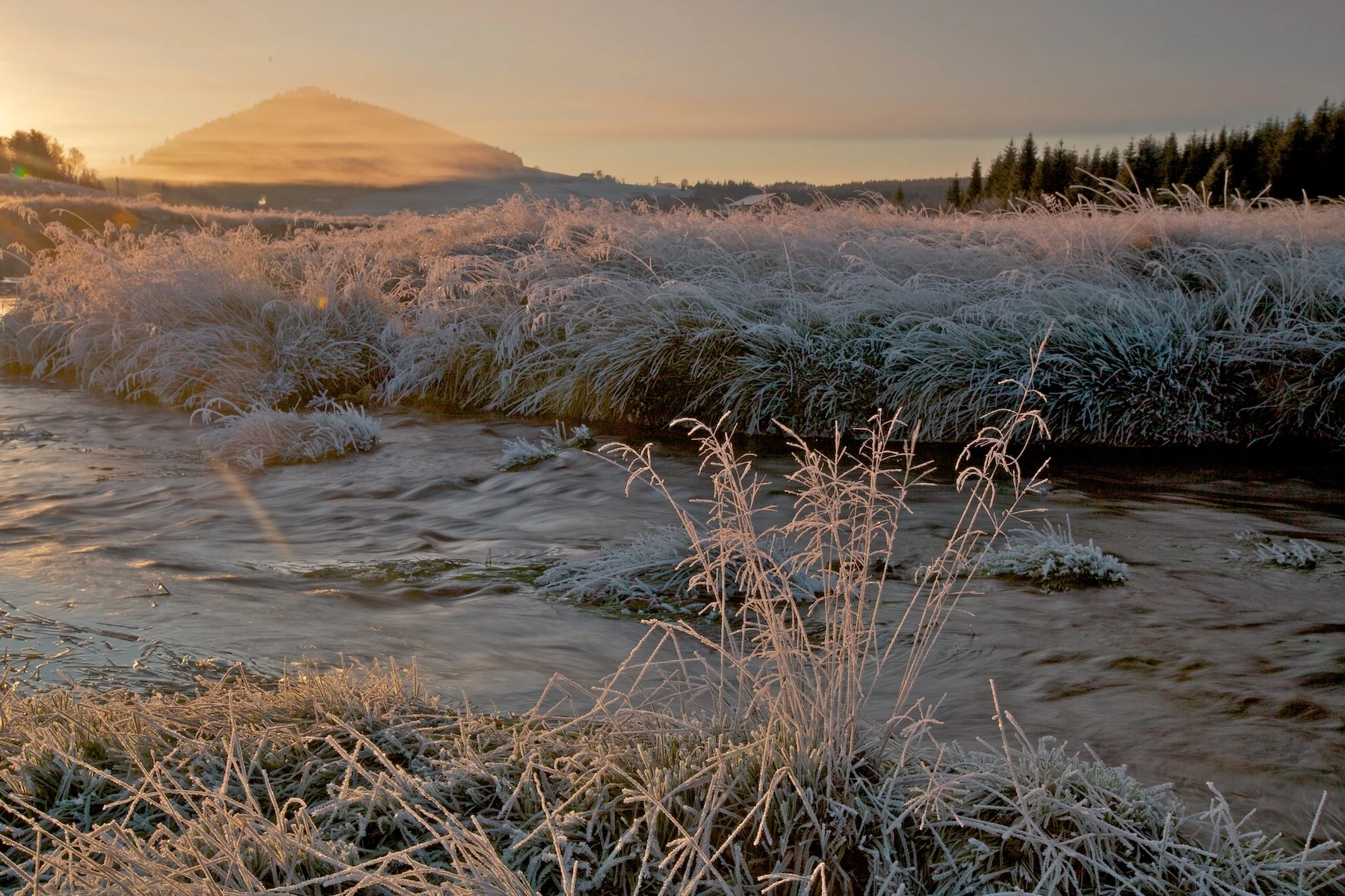 Kurz focení mobilem i zrcadlovkou, venku i v ateliéru - Obrázek 10