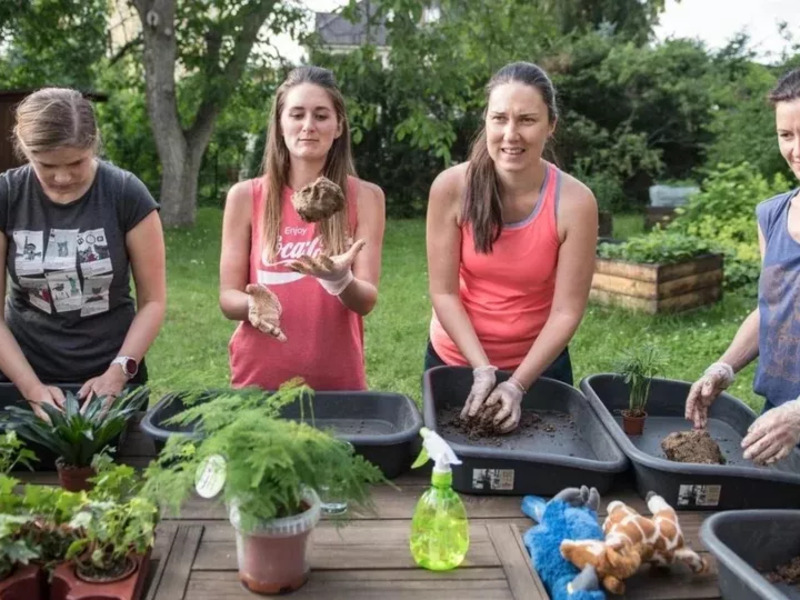 Oblíbený kreativní kurz: Výroba kokedamy v Praze - Obrázek 3