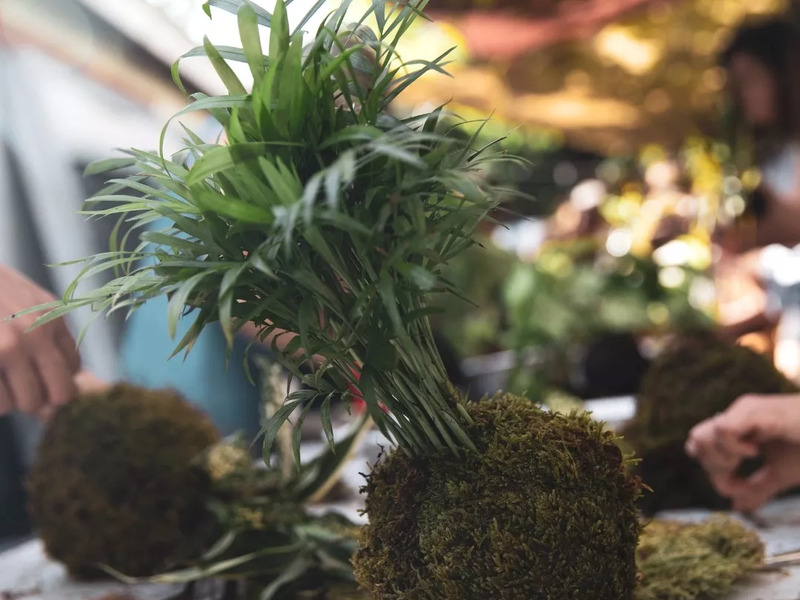 Oblíbený kreativní kurz: Výroba kokedamy v Praze - Obrázek 4