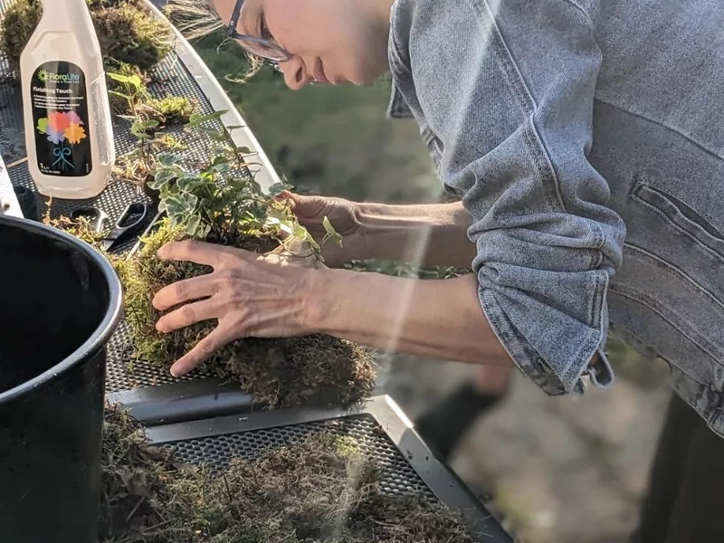 Oblíbený kreativní kurz: Výroba kokedamy v Praze - Obrázek 6