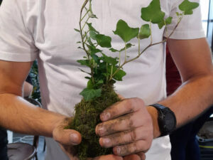 Oblíbený kreativní kurz: Výroba kokedamy v Praze