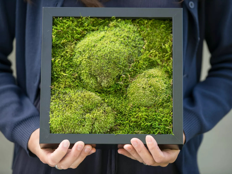 Kreativní kurz: Výroba mechových obrazů v Praze - Obrázek 9