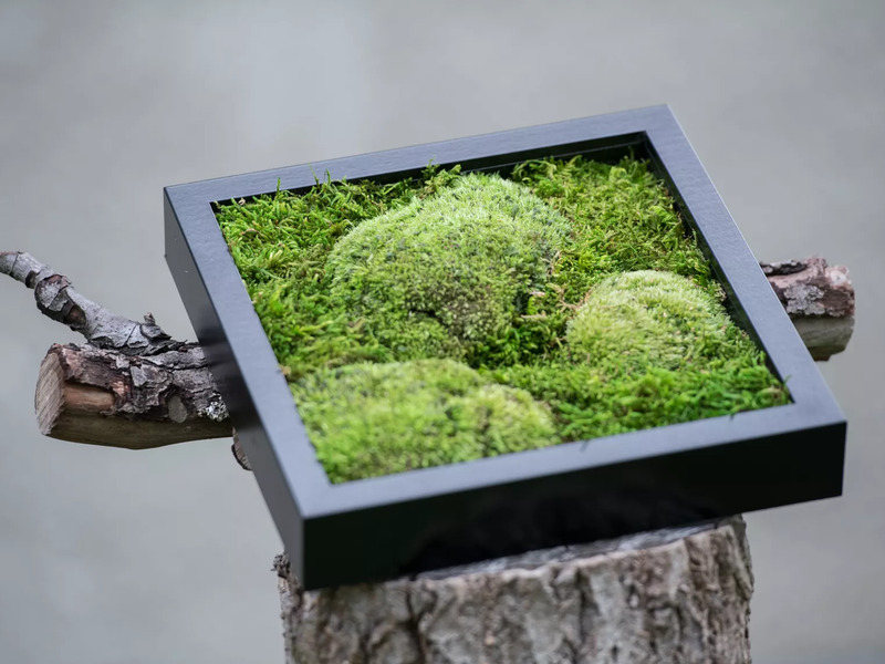 Kreativní kurz: Výroba mechových obrazů v Praze