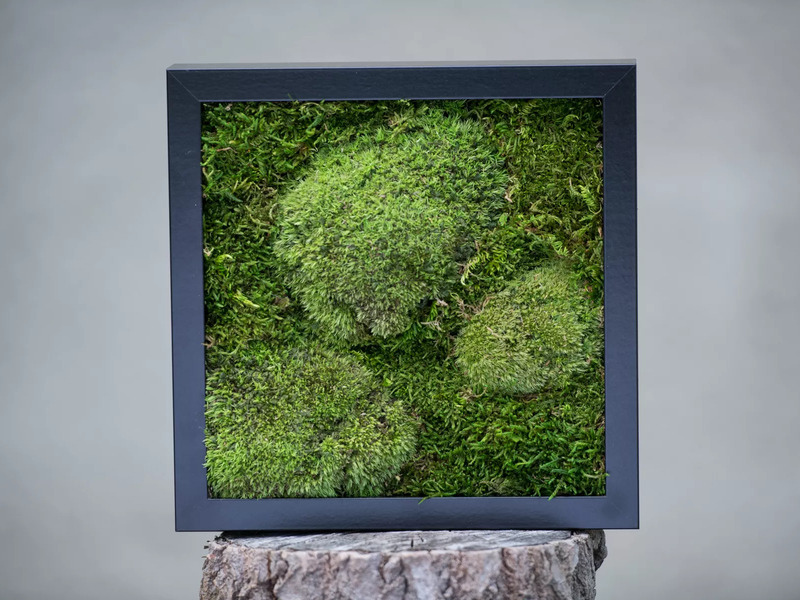 Kreativní kurz: Výroba mechových obrazů v Praze - Obrázek 4