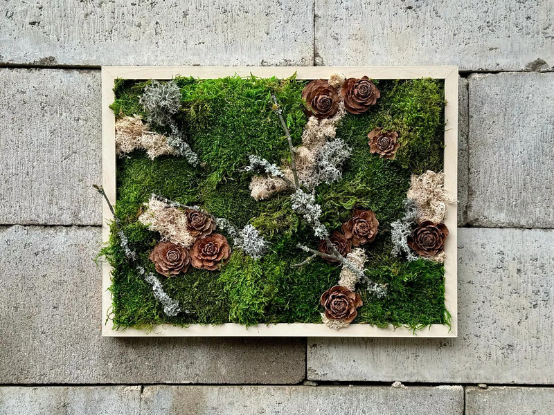 Kreativní kurz: Výroba mechových obrazů v Praze - Obrázek 6