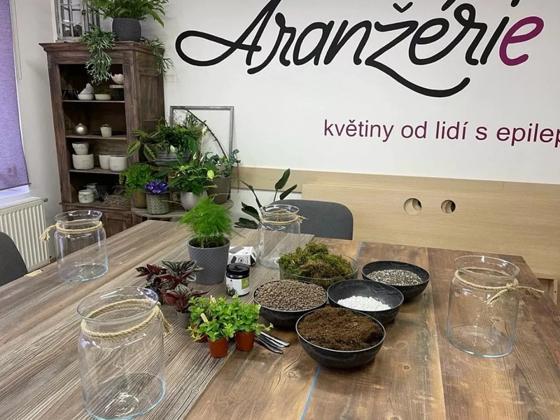 Kreativní kurz: Výroba mechových obrazů v Praze - Obrázek 7