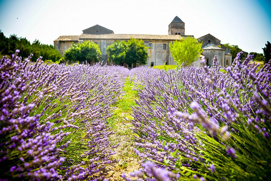 To nejkrásnější z Provence + MELOUNOVÝ FESTIVAL + CHÂTEAUNEUF-DU-PAPE - Obrázek 2