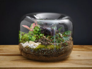 Kreativní workshop v Praze: Zahrada v lahvi