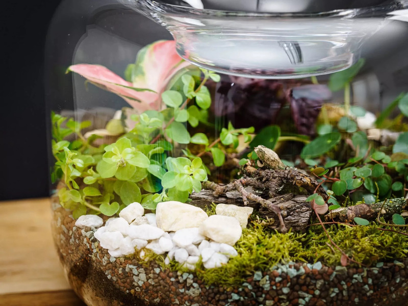 Kreativní workshop v Praze: Zahrada v lahvi - Obrázek 5