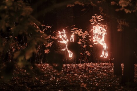 Adventní Drážďany: Vánoční zahrada na zámku Pillnitz se světelnými instalacemi + ubytování v prémiovém hotelu - Obrázek 7