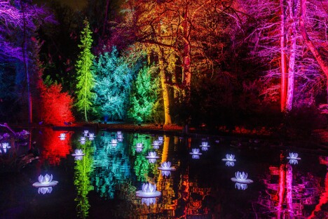 Adventní Drážďany: Vánoční zahrada na zámku Pillnitz se světelnými instalacemi + ubytování v prémiovém hotelu - Obrázek 3