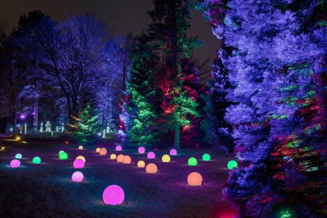 Adventní Drážďany: Vánoční zahrada na zámku Pillnitz se světelnými instalacemi + ubytování v prémiovém hotelu - Obrázek 8