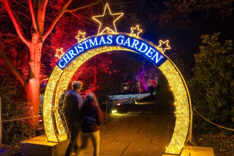 Adventní Drážďany: Vánoční zahrada na zámku Pillnitz se světelnými instalacemi + ubytování v prémiovém hotelu - Obrázek 5