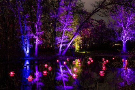 Adventní Drážďany: Vánoční zahrada na zámku Pillnitz se světelnými instalacemi + ubytování v prémiovém hotelu - Obrázek 6