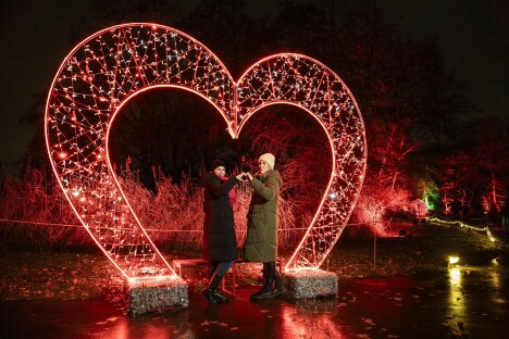 Kouzelný advent v Berlíně: Vstup na světelnou expozici Vánoční zahrada s ubytováním v prémiovém hotelu - Obrázek 3
