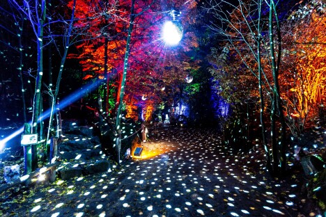 Kouzelný advent v Berlíně: Vstup na světelnou expozici Vánoční zahrada s ubytováním v prémiovém hotelu - Obrázek 6