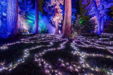 Kouzelný advent v Berlíně: Vstup na světelnou expozici Vánoční zahrada s ubytováním v prémiovém hotelu - Obrázek 5