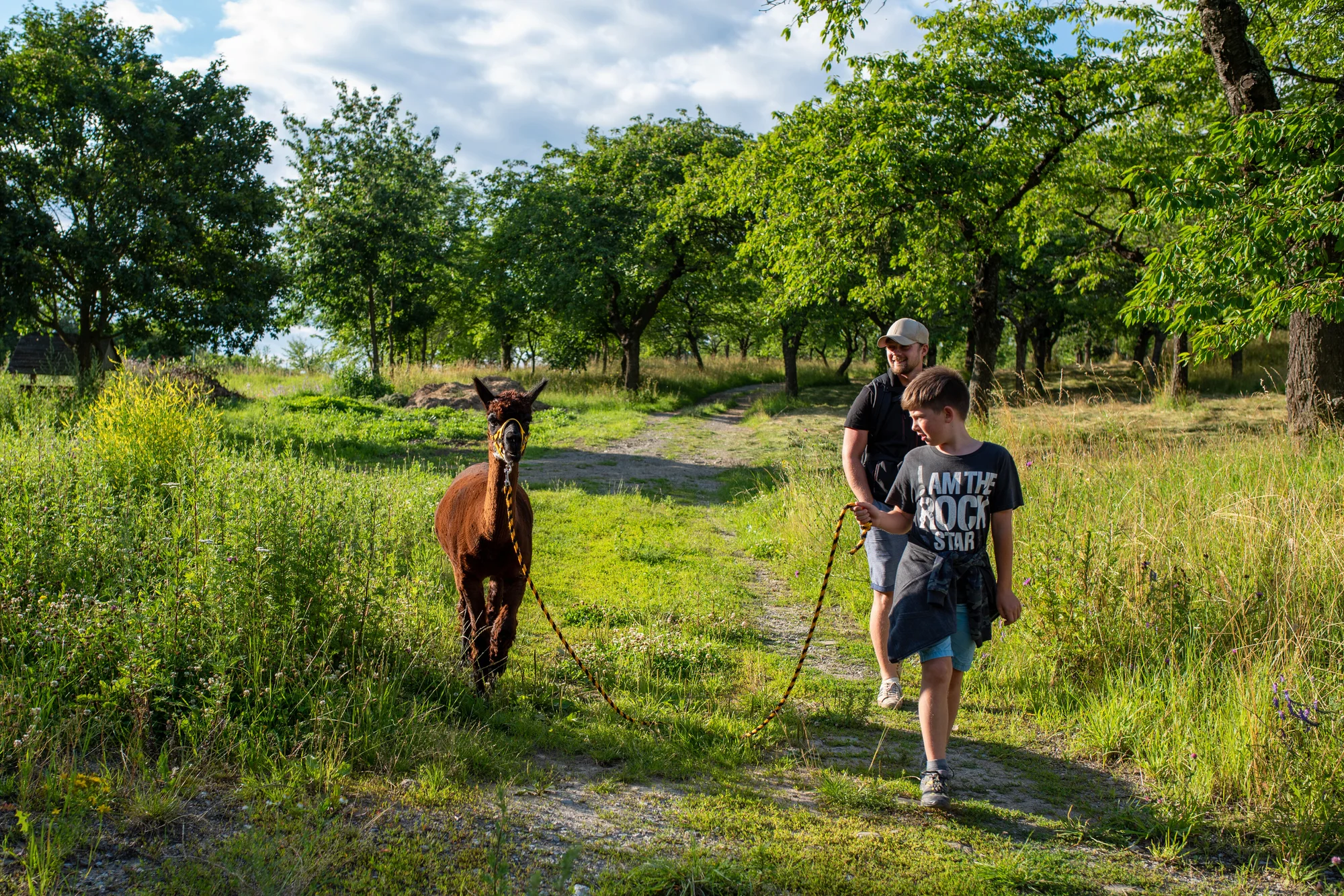 Vycházka s alpakami po Moravském krasu až pro 4 os. - Obrázek 8