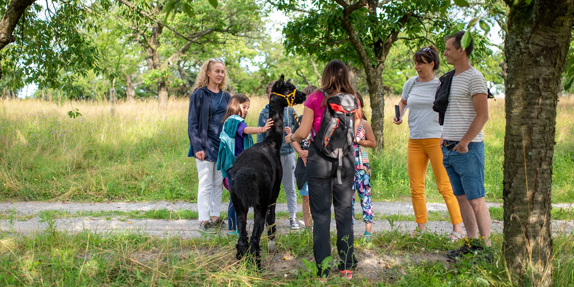 Vycházka s alpakami po Moravském krasu až pro 4 os. - Obrázek 5