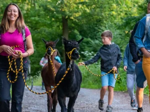 Vycházka s alpakami po Moravském krasu až pro 4 os.