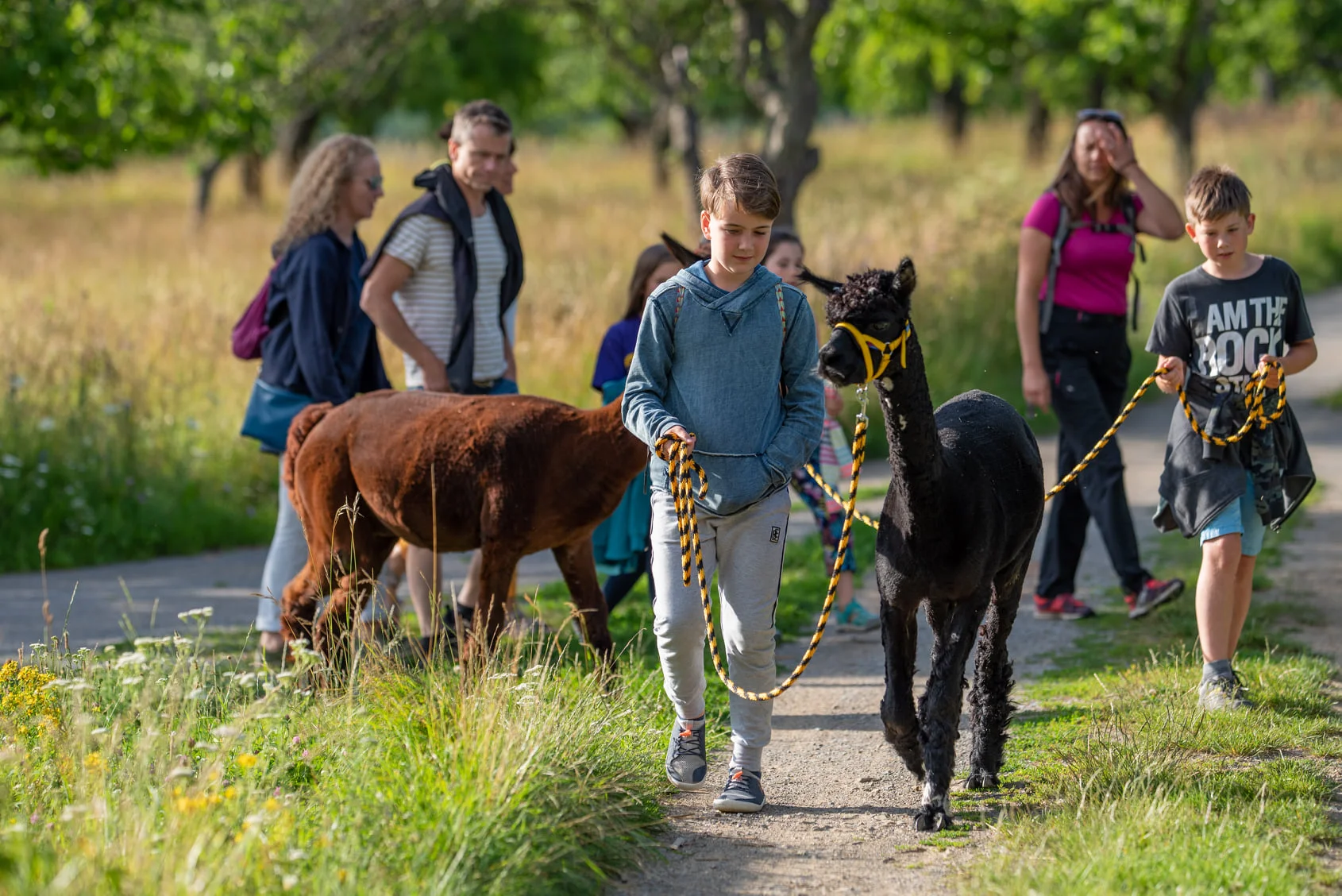 Vycházka s alpakami po Moravském krasu až pro 4 os. - Obrázek 6