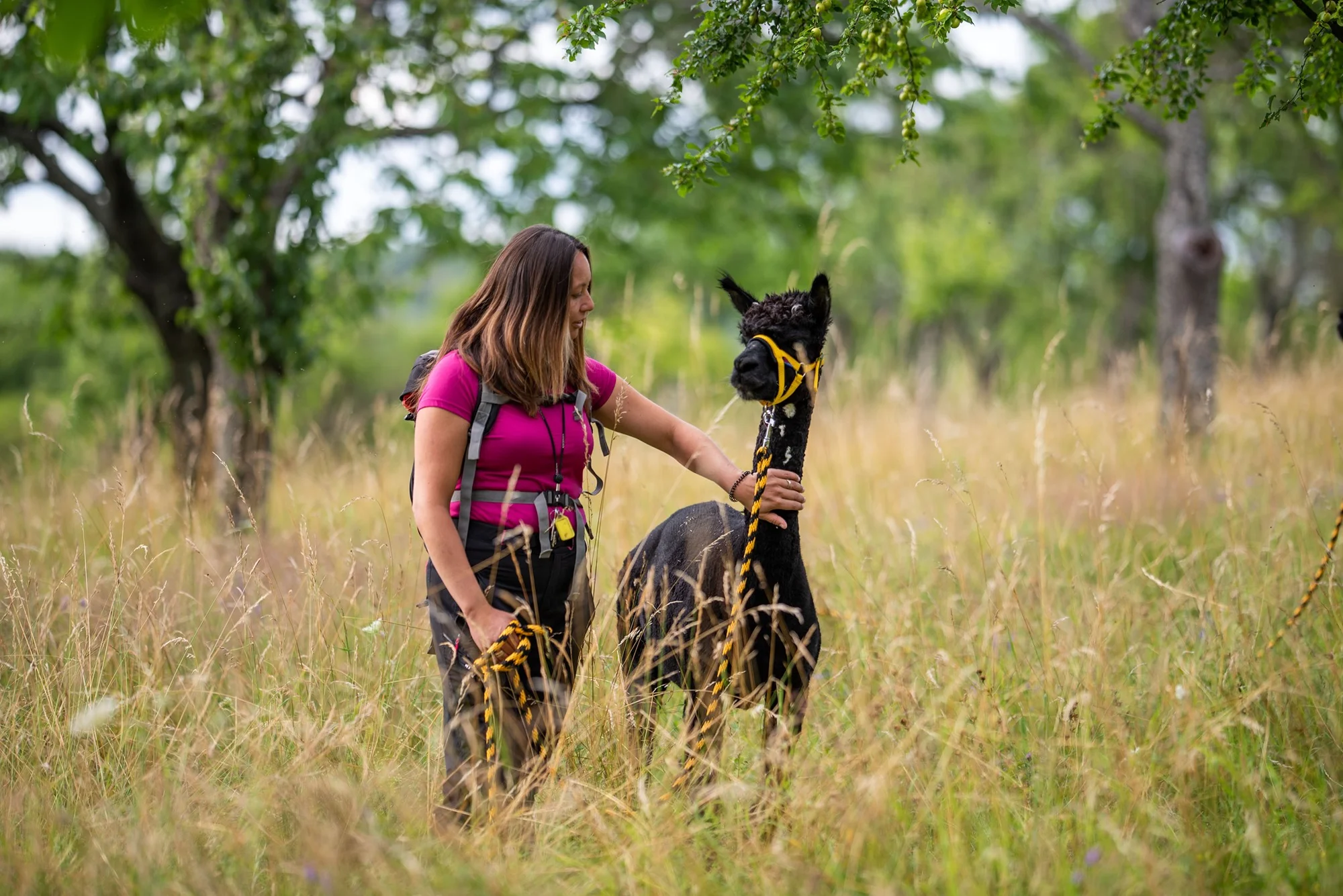 Vycházka s alpakami po Moravském krasu až pro 4 os. - Obrázek 7