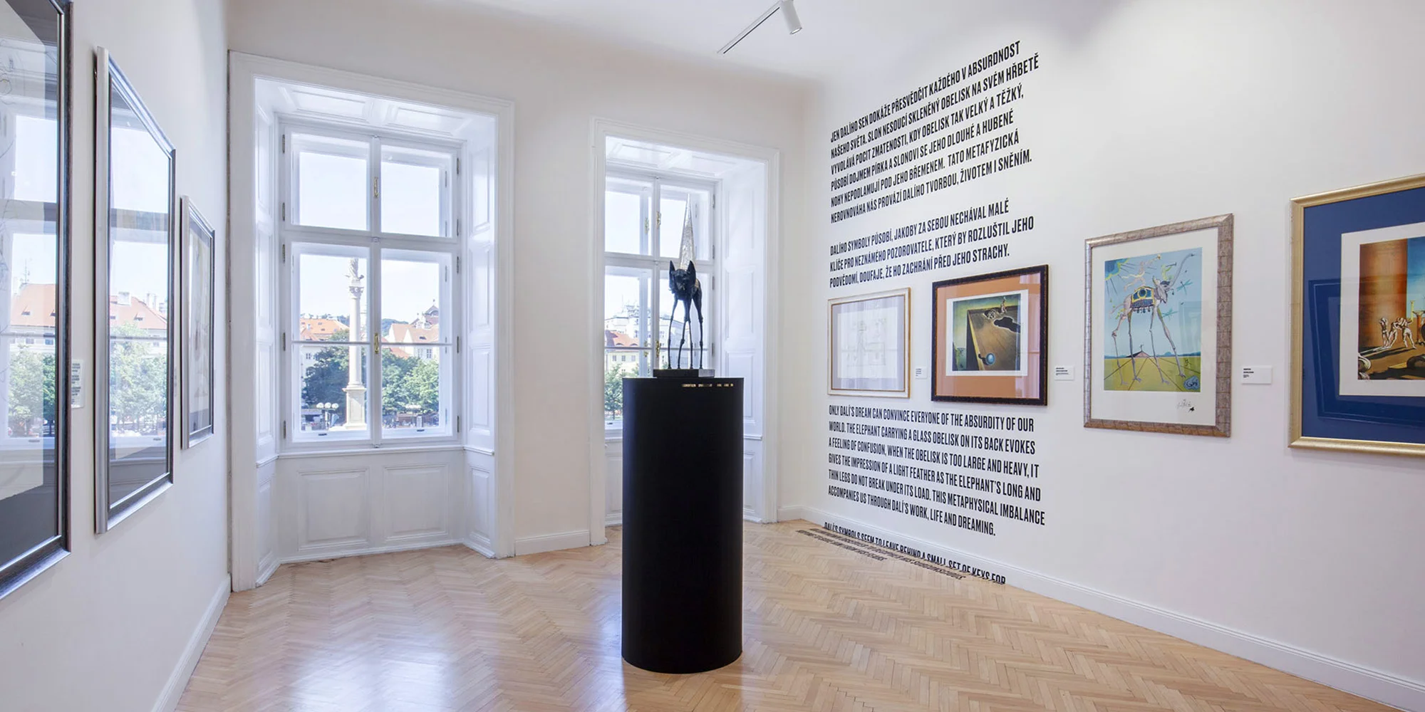 Vstupenky na výstavu Salvadora Dalího na Staromáku - Obrázek 4