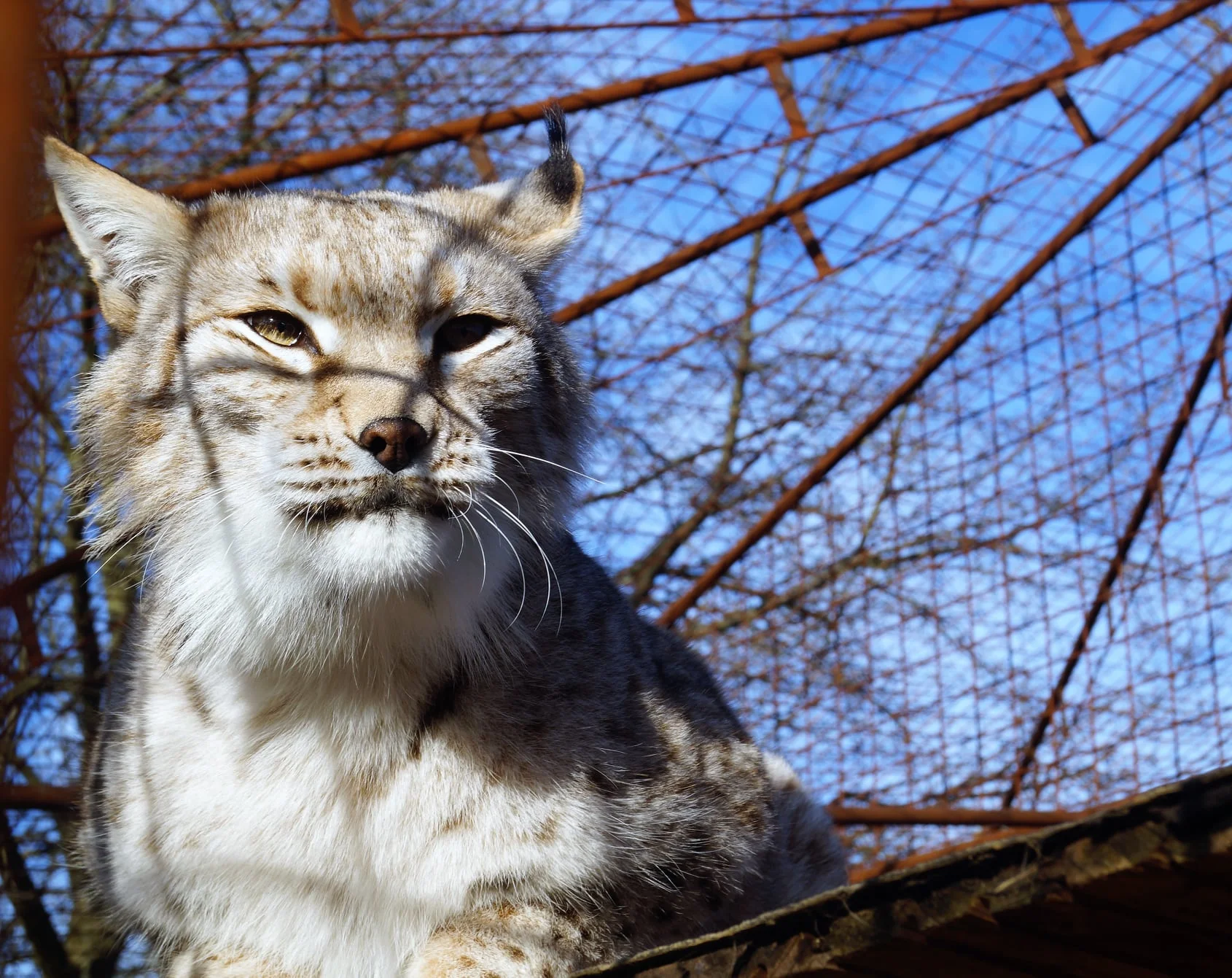 Dopolední nebo večerní krmení šelem pro 2 osoby - Obrázek 6