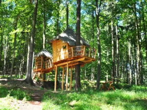 Sojčí hnízdo: vyhlídkový posed v lesích u Brna