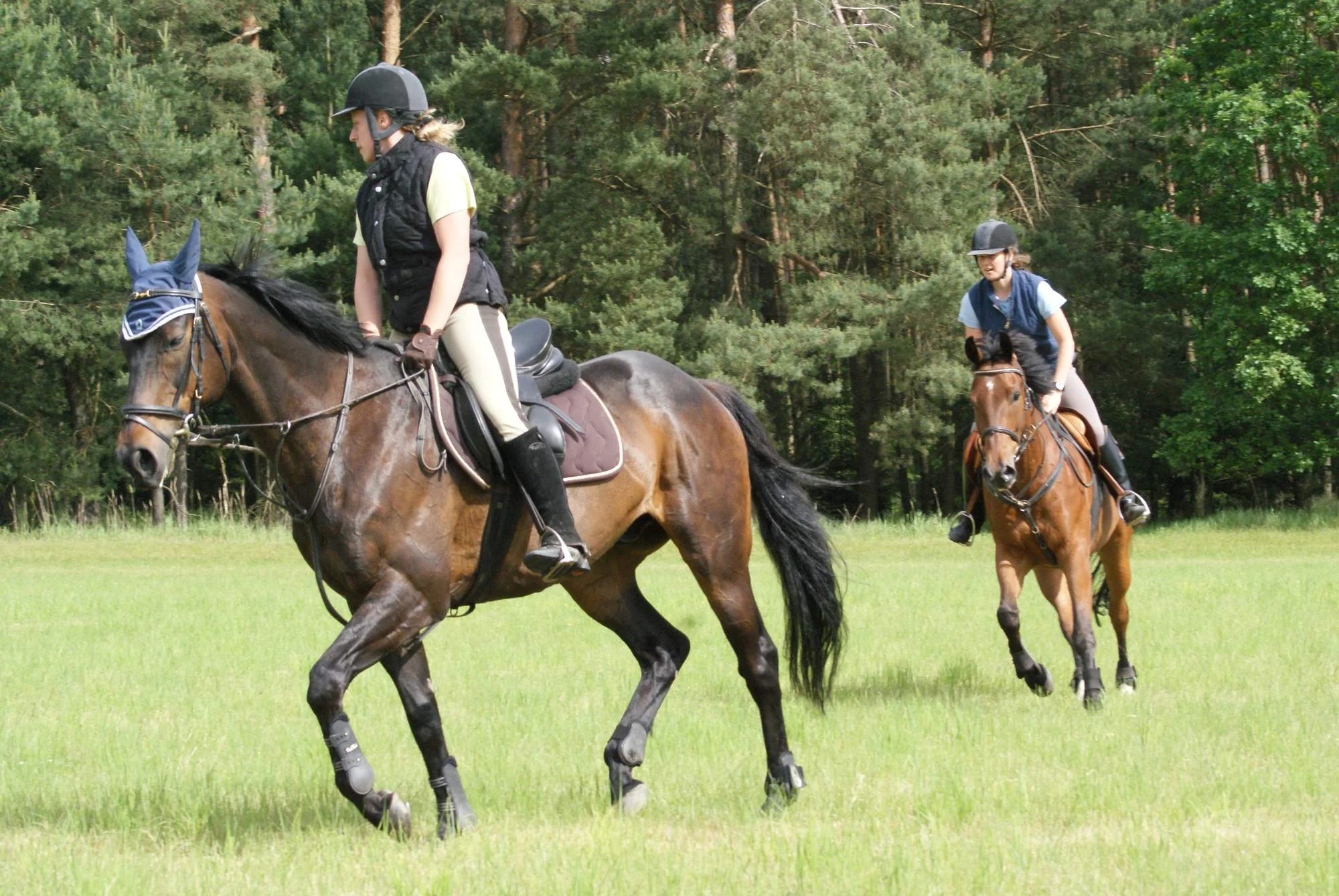 Vyjížďky na koni pro 1–4 osoby: 45–270 min. v sedle - Obrázek 8