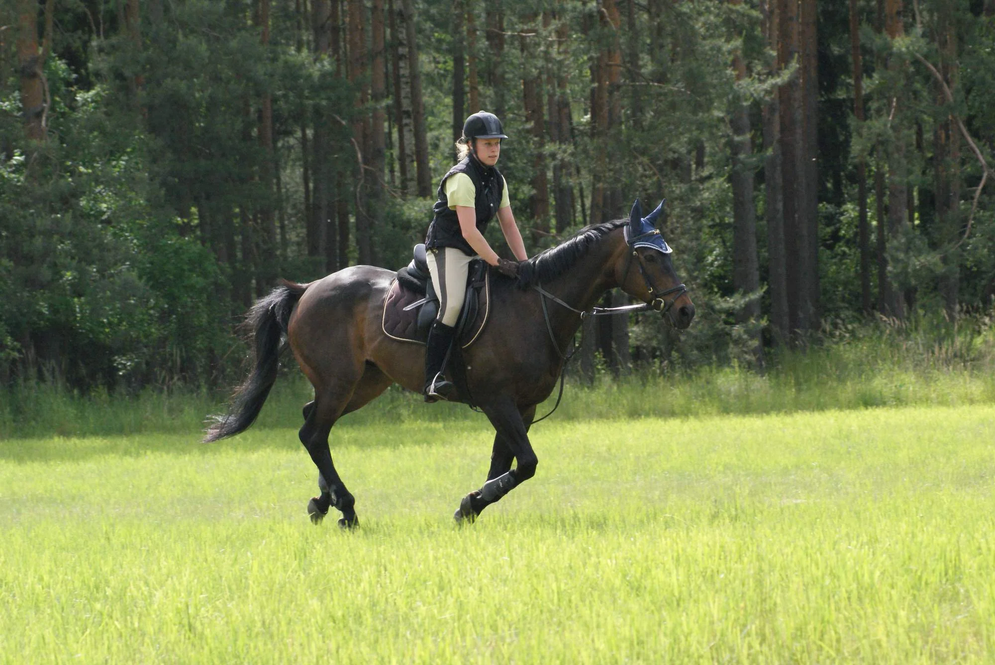 Vyjížďky na koni pro 1–4 osoby: 45–270 min. v sedle - Obrázek 10