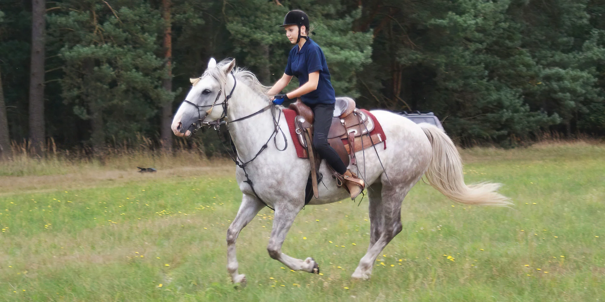 Vyjížďky na koni pro 1–4 osoby: 45–270 min. v sedle - Obrázek 6