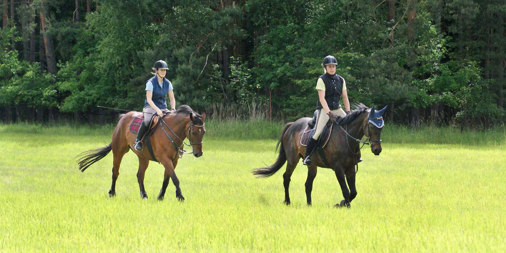 Vyjížďky na koni pro 1–4 osoby: 45–270 min. v sedle - Obrázek 4