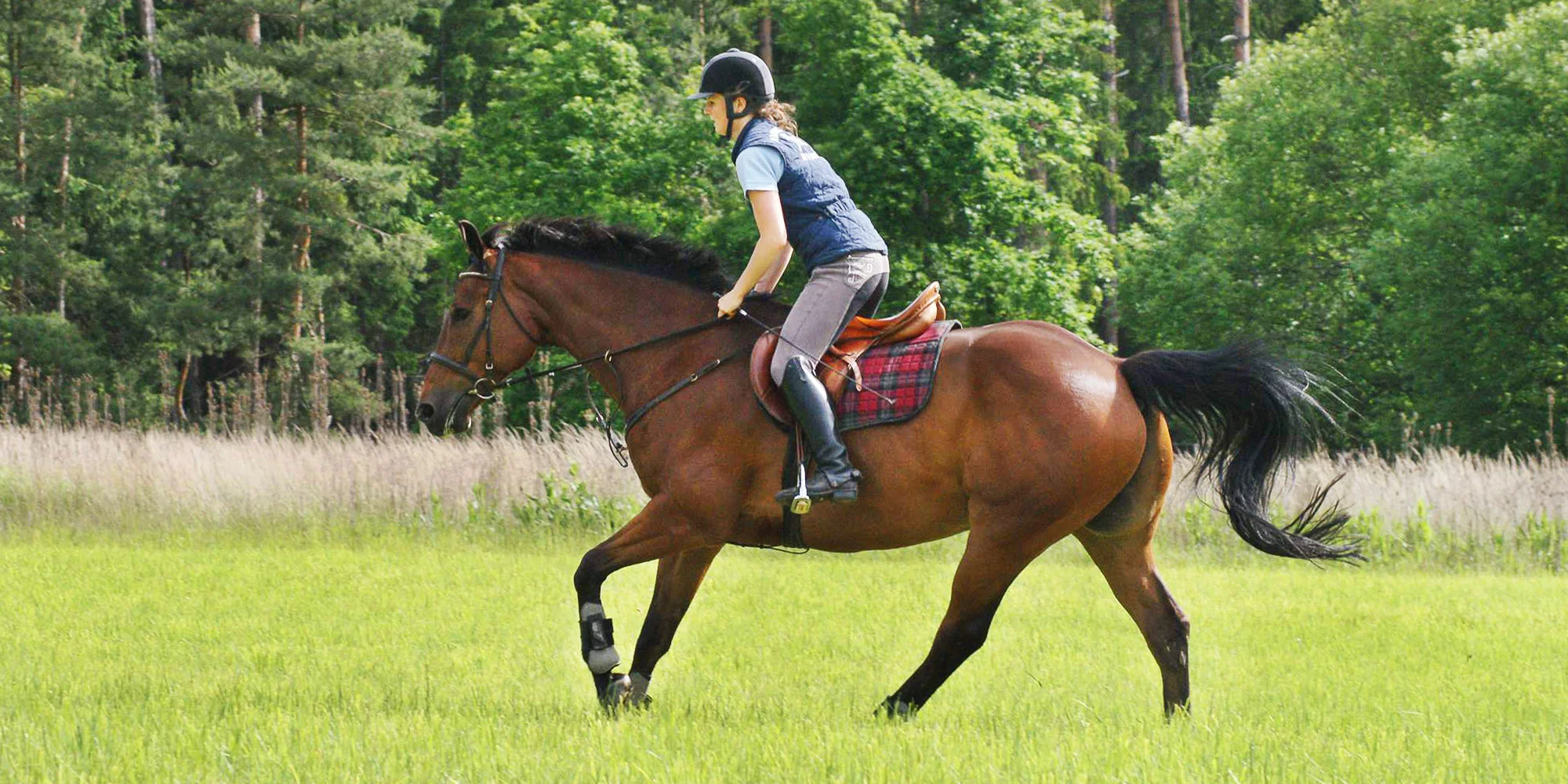 Vyjížďky na koni pro 1–4 osoby: 45–270 min. v sedle - Obrázek 3