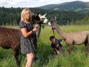 Lamatreking v Krkonoších: až 3,5km okruh i krmení