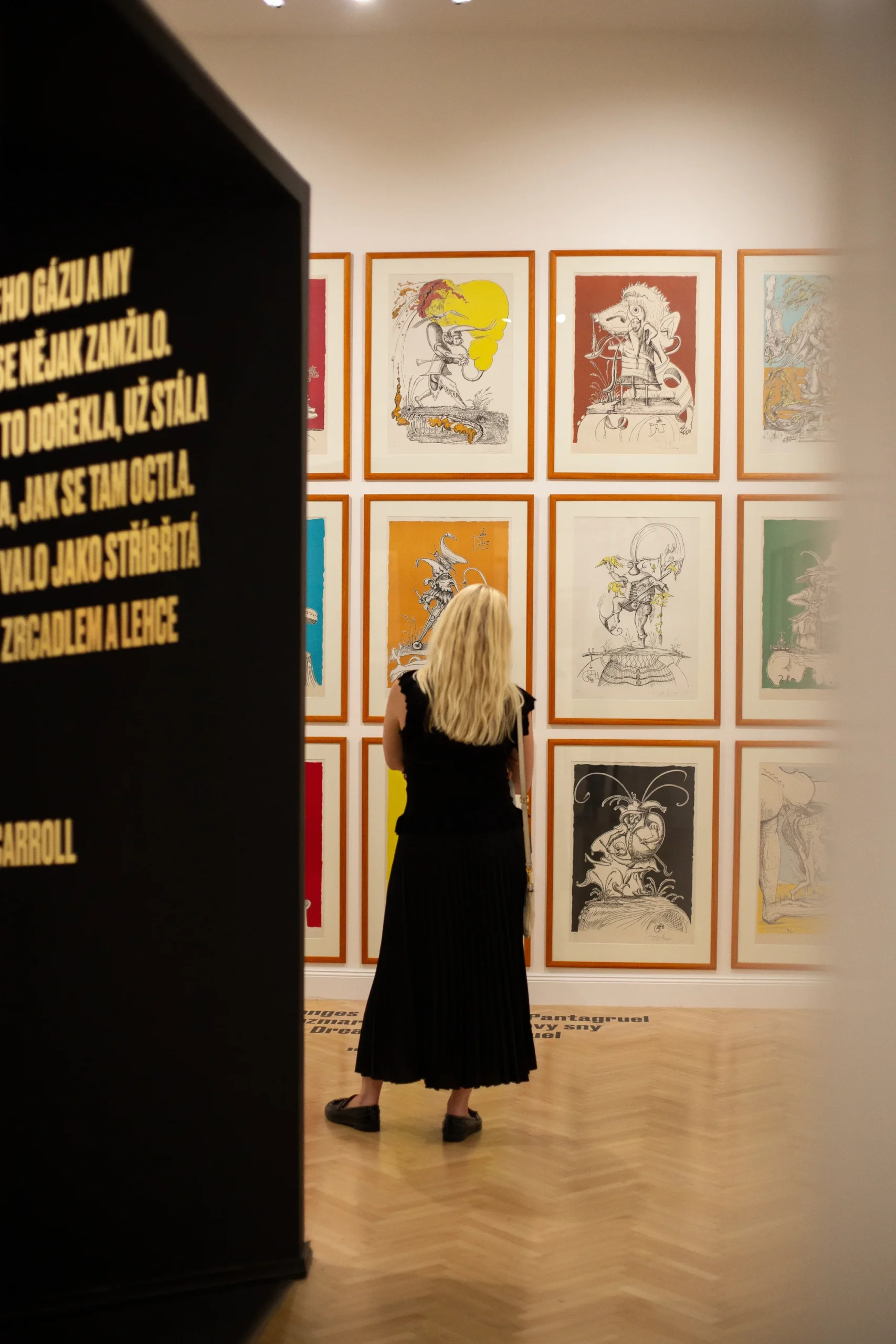 Vstupenky na výstavu Salvadora Dalího na Staromáku - Obrázek 10