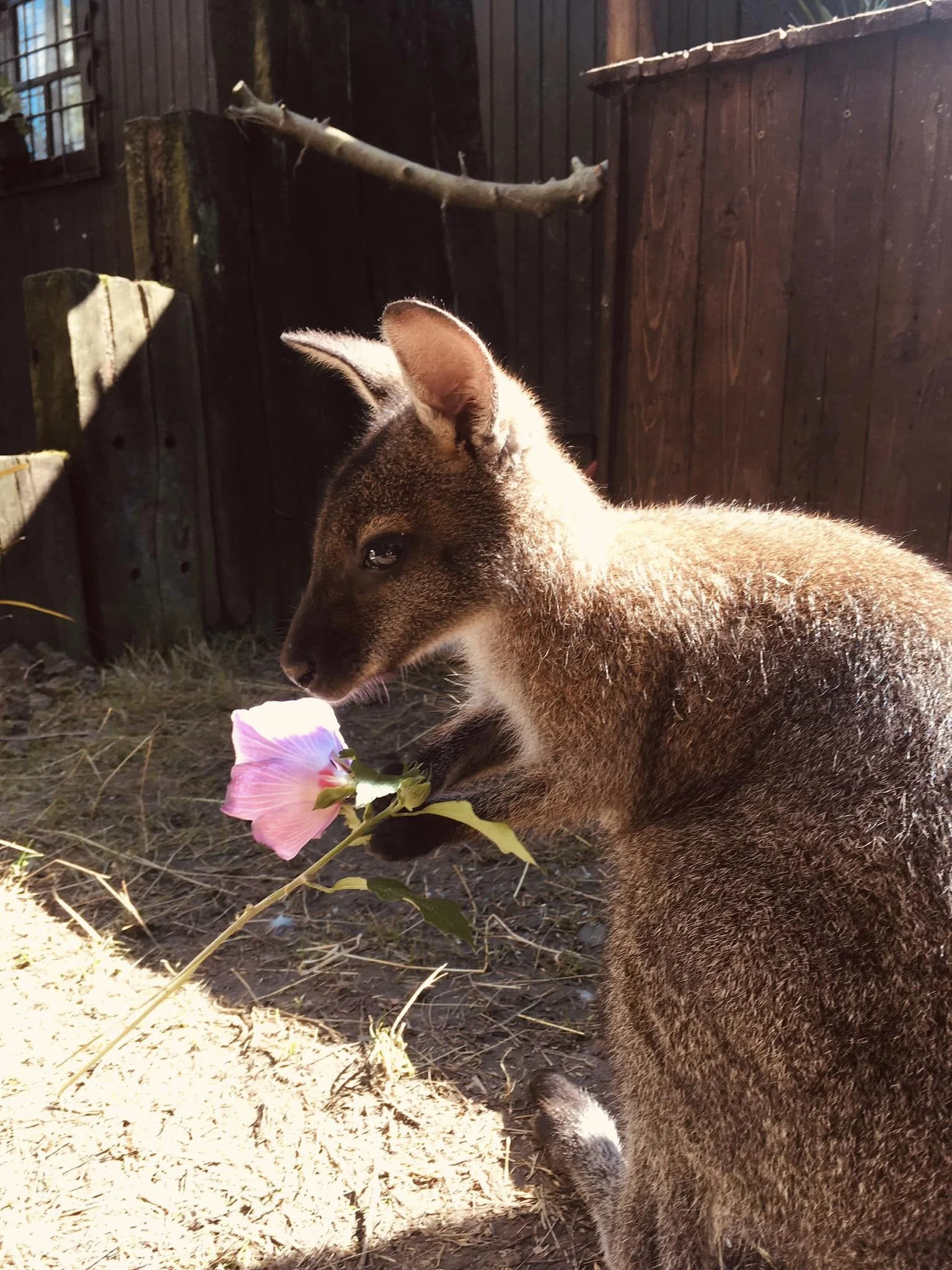Jízda obrněným transportérem i prohlídka bunkru - Obrázek 10