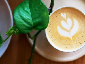 Baristické kurzy pro 1 nebo 2 osoby: naučte se latté art