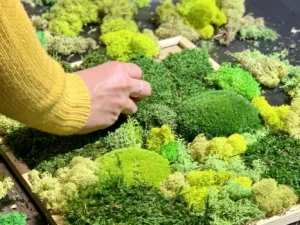 Workshop výroby mechového obrazu v Brně, Ostravě a Zlíně