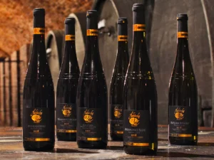 Prohlídka Habánských sklepů s degustací i vína domů