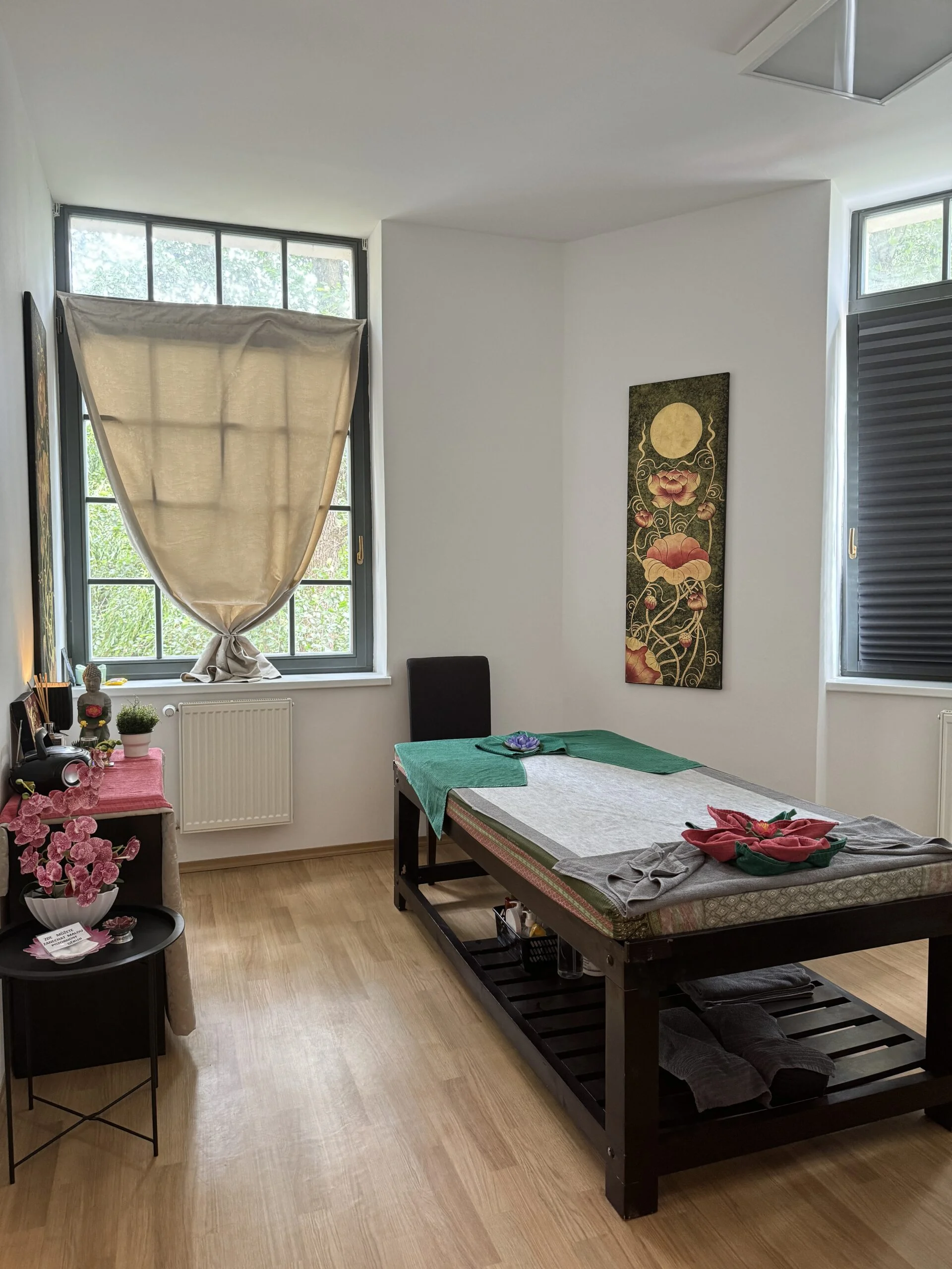 90 nebo 120 min. relaxační masáže lávovými kameny - Obrázek 9