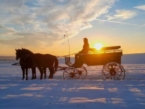 Vyjížďka na koni nebo v kočáře taženém koňmi