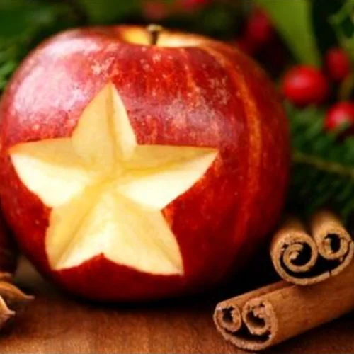 Vstupenky na vánoční koncert ve Smetanově síni - Obrázek 2