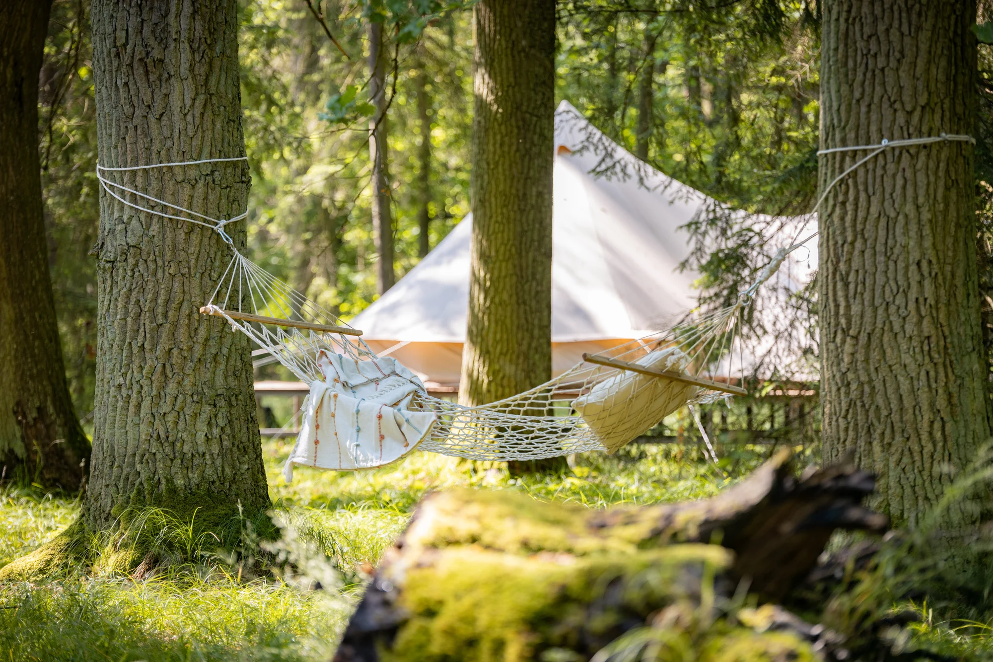 Glamping v Černické oboře u Bechyně se snídaní a saunou - Obrázek 10